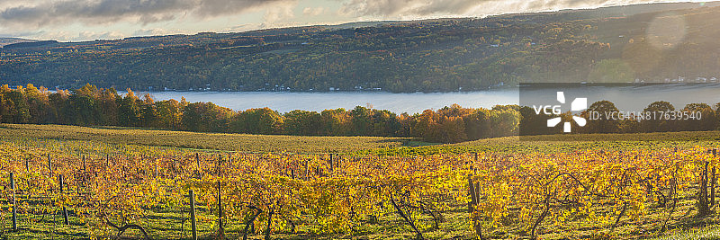美国纽约建筑外观图片素材