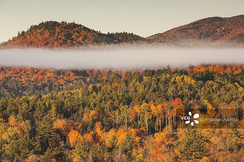 美国纽约建筑外观图片素材