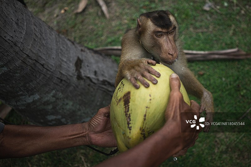 给我那个！图片素材