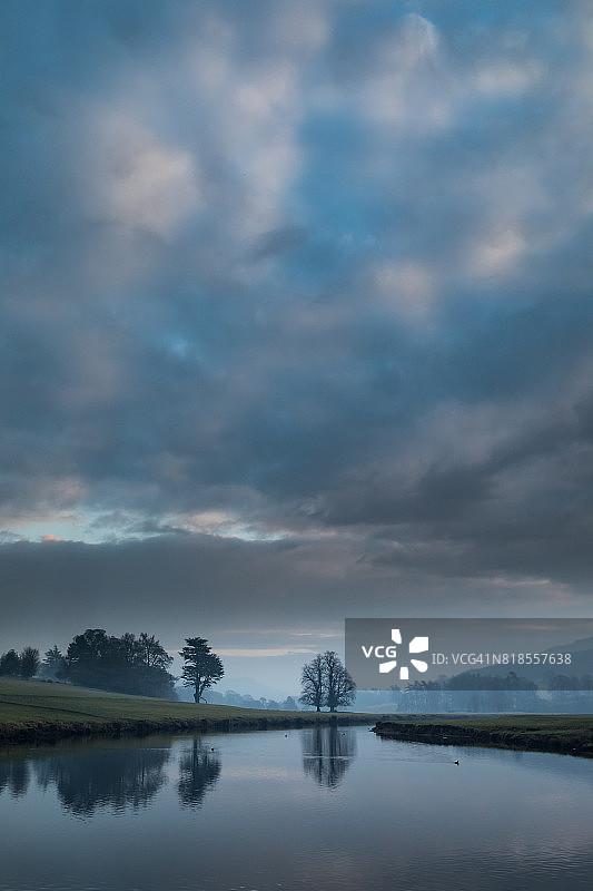 雾中的树木图片素材