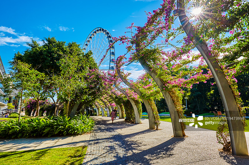 澳大利亚昆士兰州布里斯班南岸公园图片素材