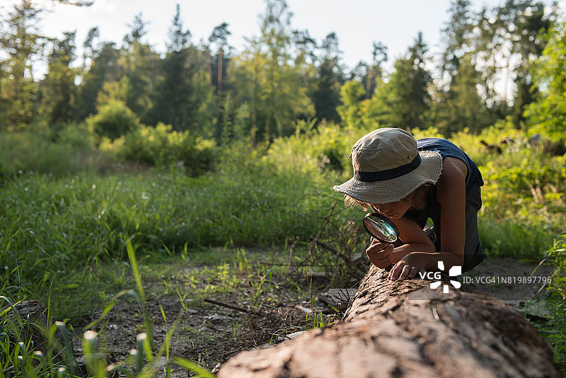 在森林里拿着放大镜的男孩图片素材