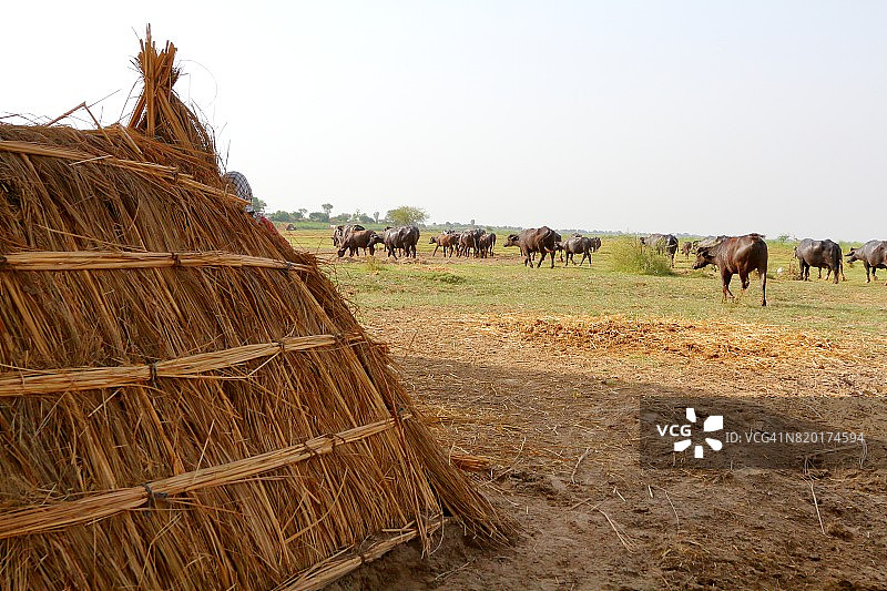 稻草制成的小屋图片素材