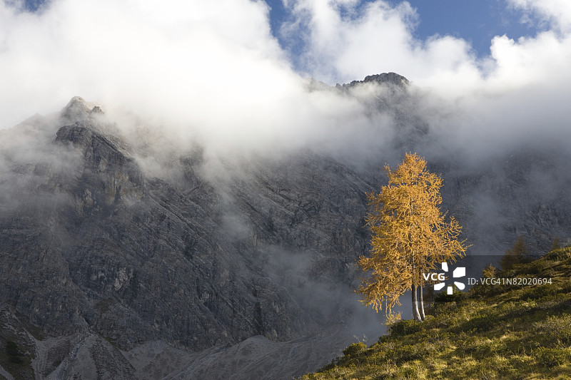 奥地利阿尔卑斯山的神秘雾气图片素材