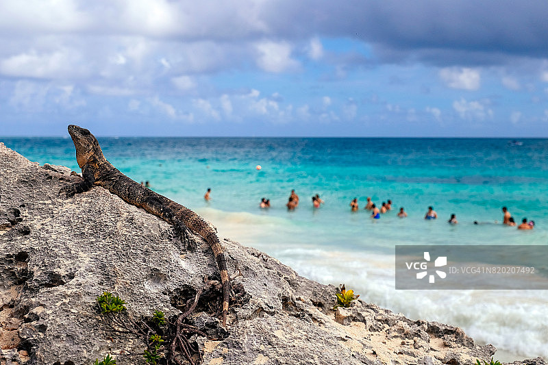 图伦、墨西哥图片素材