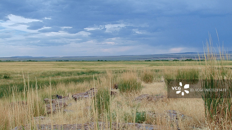 邦迪马卢尔国家野生动物保护区风光图片素材