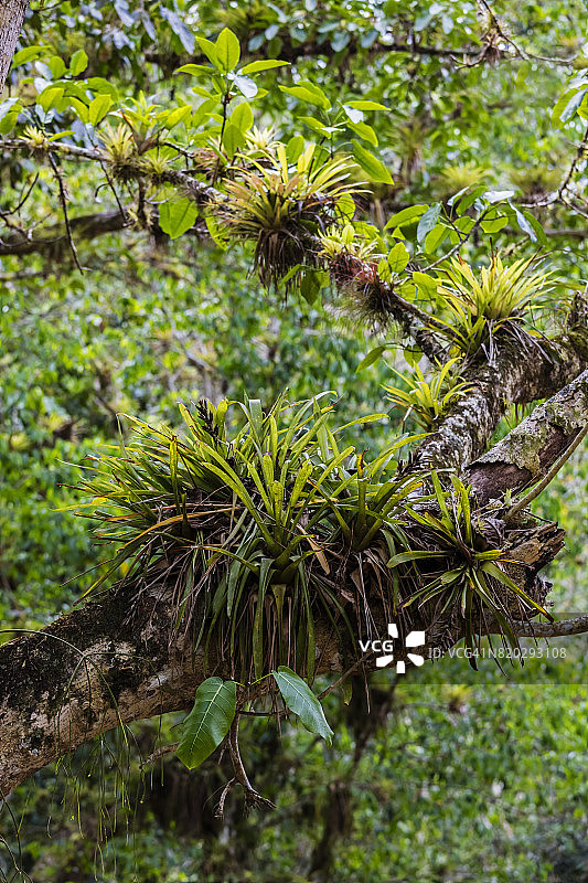 古巴旅游图片素材