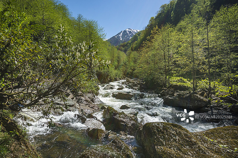 土耳其黑海地区阿尔特温省阿尔哈维卡米莱特山谷的壮丽景色图片素材