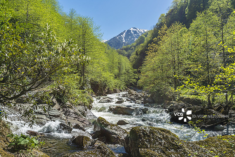 土耳其黑海地区阿尔特温省阿尔哈维卡米莱特山谷的壮丽景色图片素材