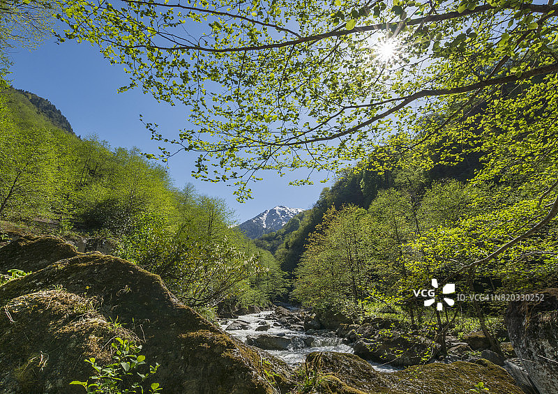 土耳其黑海地区阿尔特温省阿尔哈维卡米莱特山谷的壮丽景色图片素材