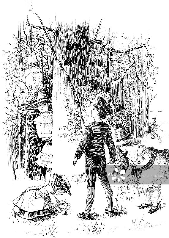 孩子们在森林里绕着树玩耍图片素材