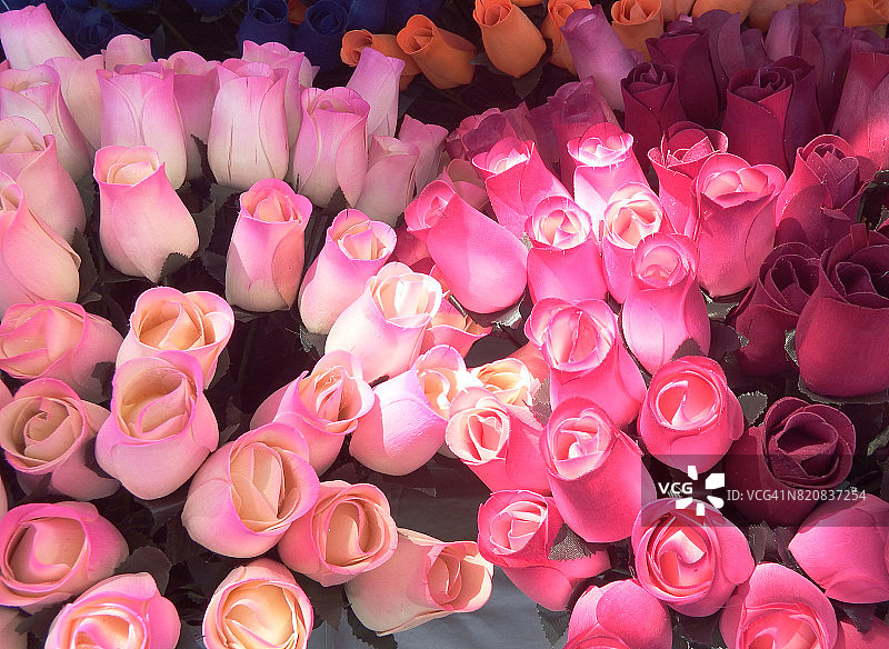 街头小摊上出售的郁金香图片素材