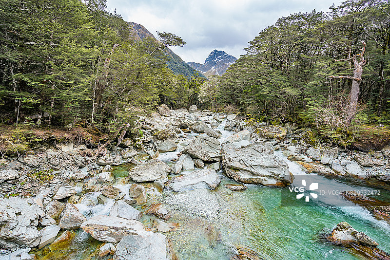 麦肯齐小屋附近的苔藓森林和小溪图片素材