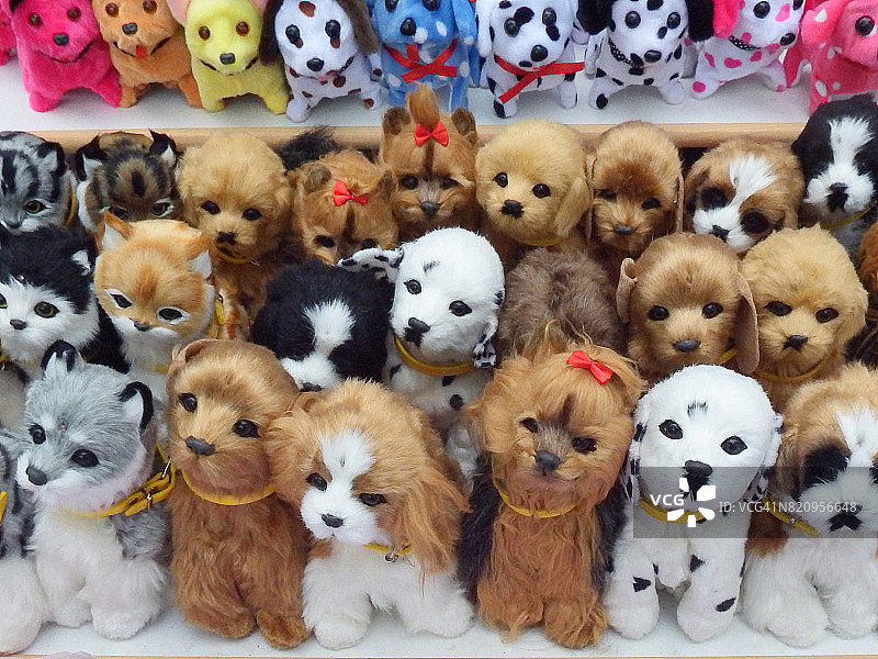 街头摊位上出售的泰迪犬图片素材