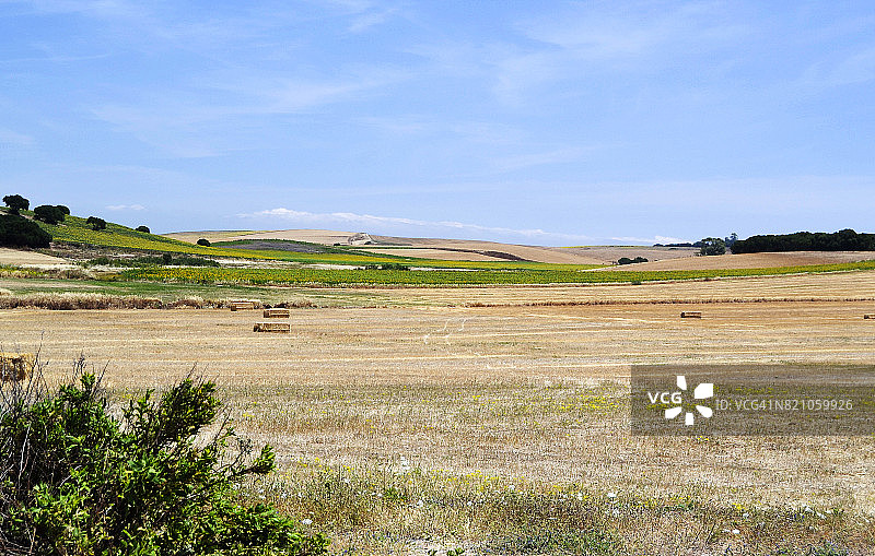 麦地那西多尼亚美丽风景图片素材