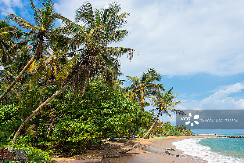 斯里兰卡热带海滩图片素材