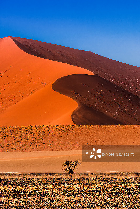 纳米比亚纳米布沙漠的红色沙丘图片素材