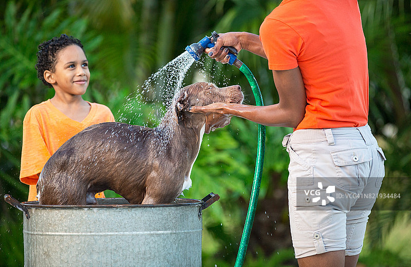 母子给狗洗澡图片素材