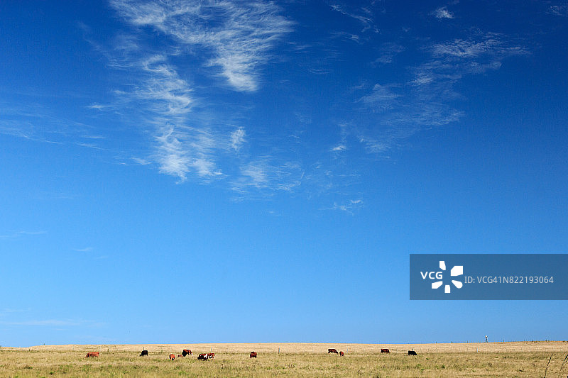 马尔多纳多省乡村风光，近乌拉圭埃斯特角城图片素材
