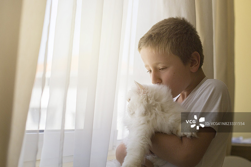 男孩和小猫在窗边图片素材