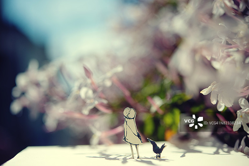 女孩与鸟图片素材