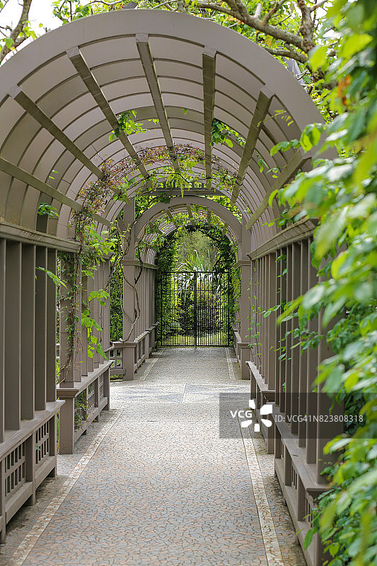 汉密尔顿花园-棚架图片素材