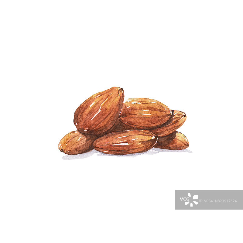 杏仁图片素材