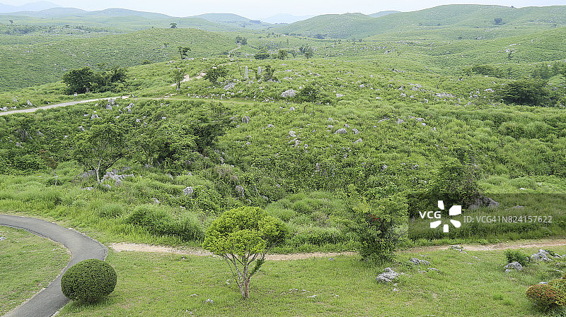2017年夏季的秋吉台喀斯特高原图片素材