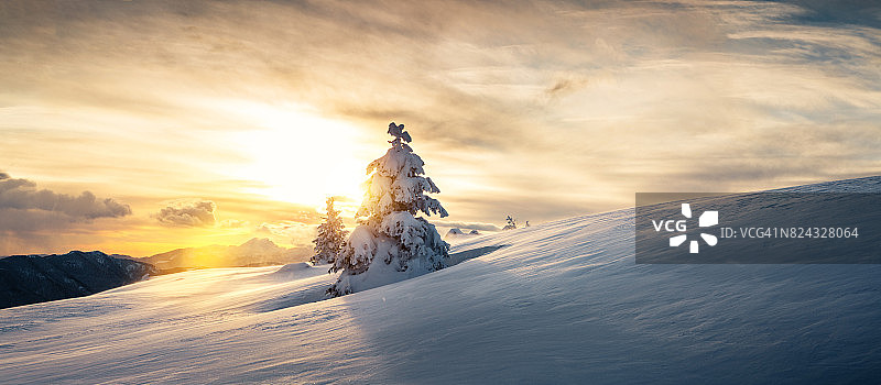 日落时分的冬季景观图片素材