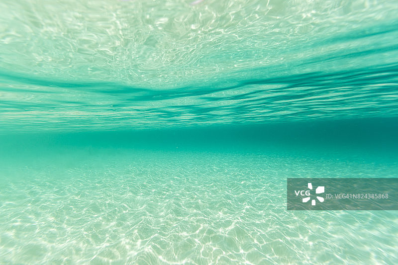 安圭拉米德湾水下风光，加勒比海图片素材