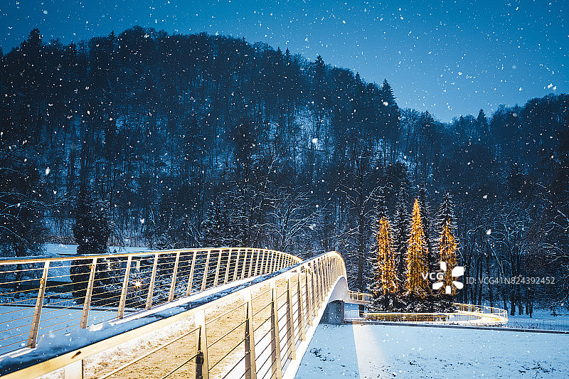 公园里的圣诞树图片素材