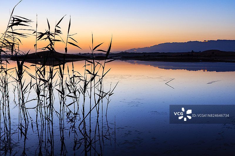 阿布扎比艾恩罗非鱼湖图片素材