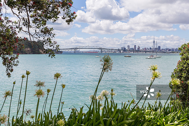 奥克兰城市远景图片素材