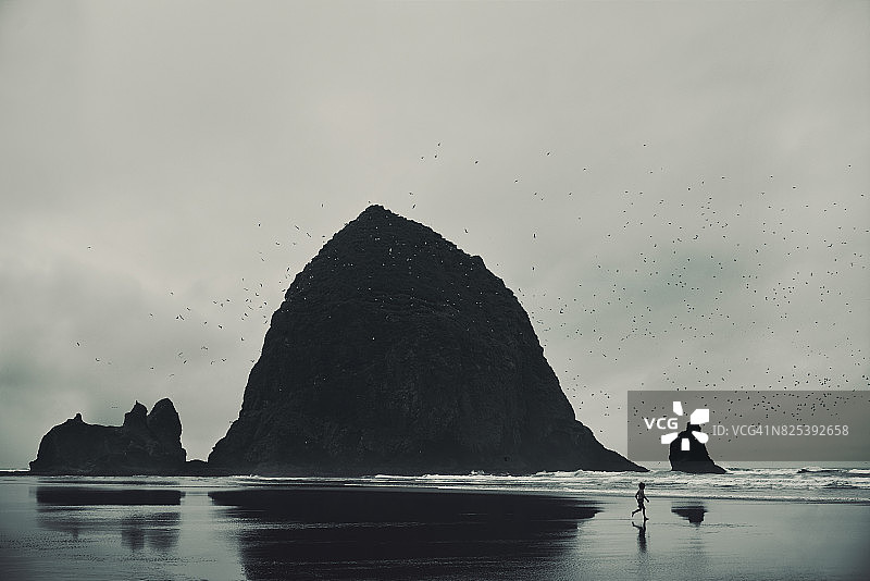 在海滩上和鸟儿一起奔跑的幼儿图片素材