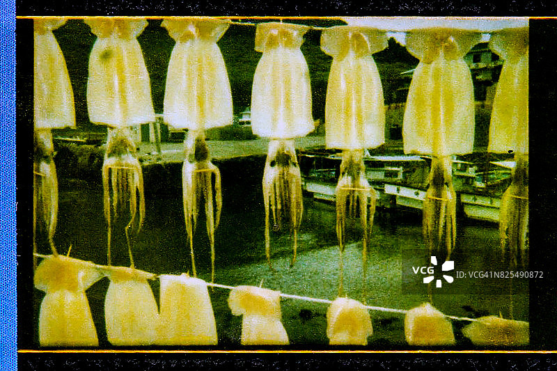 济州岛晾晒鱿鱼图片素材