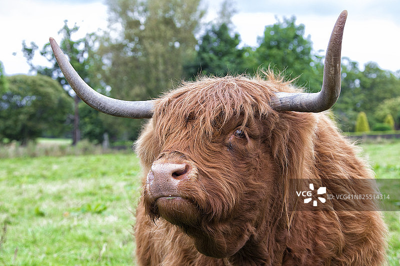 苏格兰图片素材