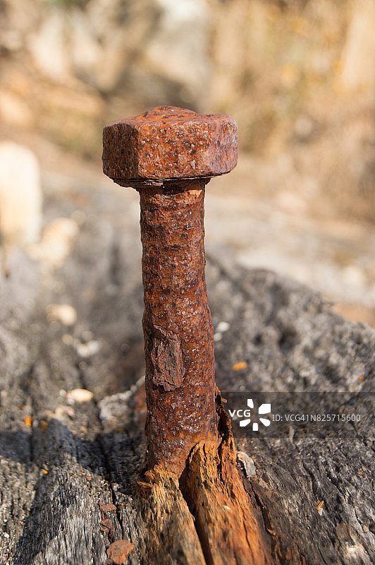 贻贝床的锈蚀螺栓图片素材