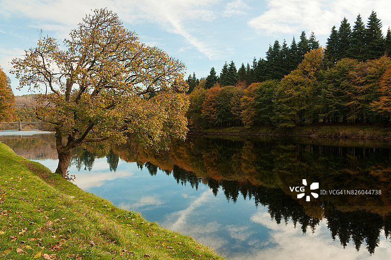 蓝天下平静河流旁的树木图片素材