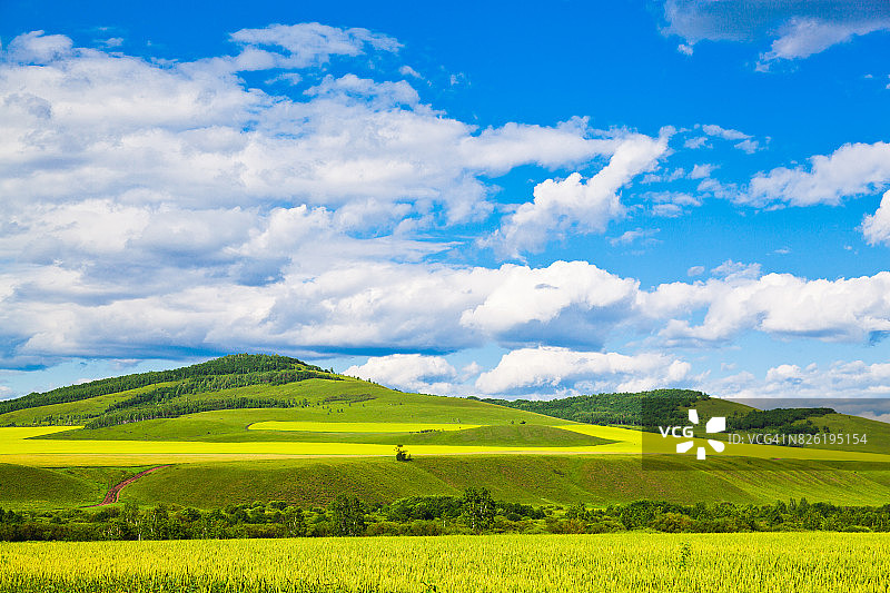 夏天的风景图片素材