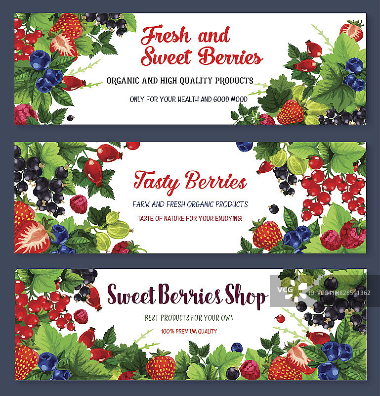 矢量清新甜美浆果banner图片素材