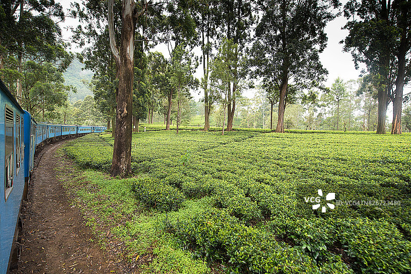 从埃拉到康提的列车，斯里兰卡图片素材