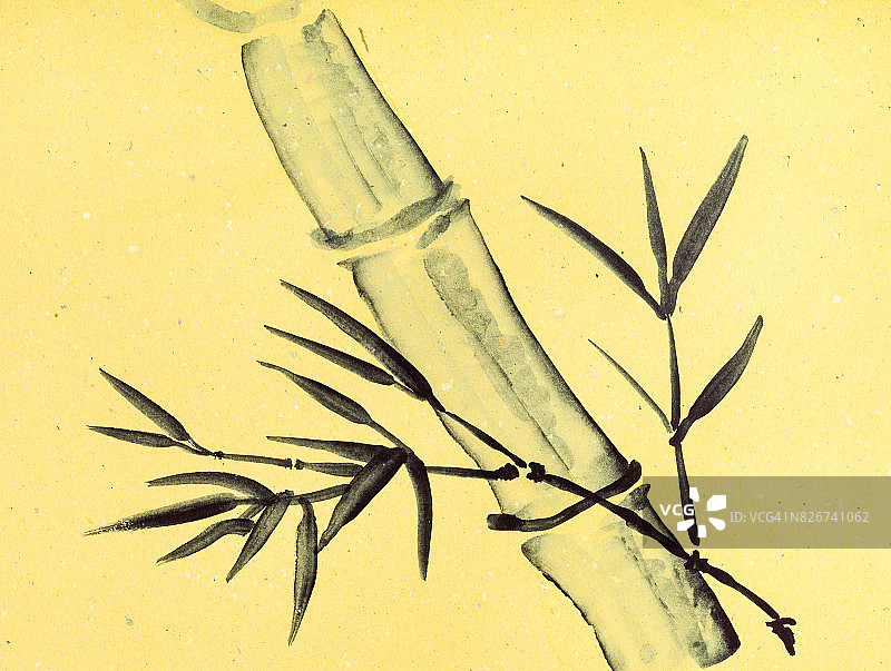 黄色纸上的甘蔗图片素材