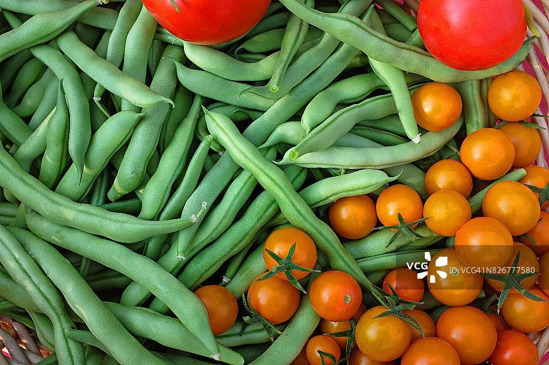 有机花园蔬菜图片素材