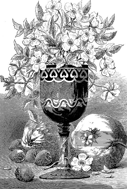 花瓶中的阿根廷花束图片素材