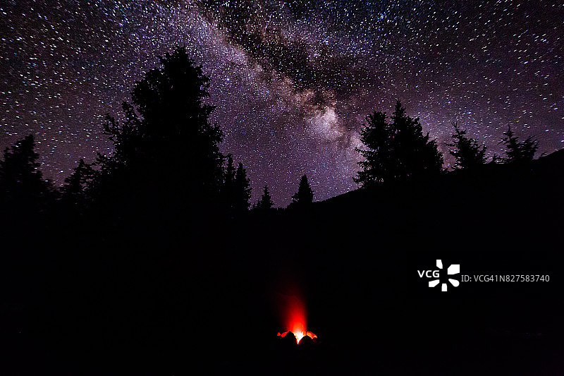 星空下森林中的篝火图片素材