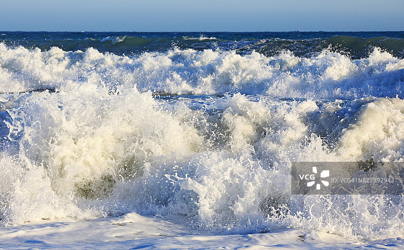 野生水域图片素材