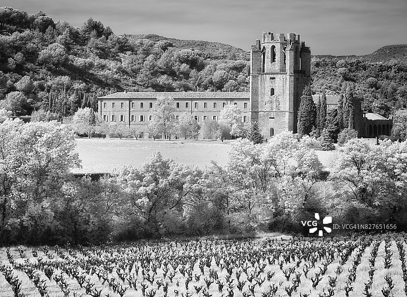 法国朗格多克-鲁西永拉格拉斯图片素材