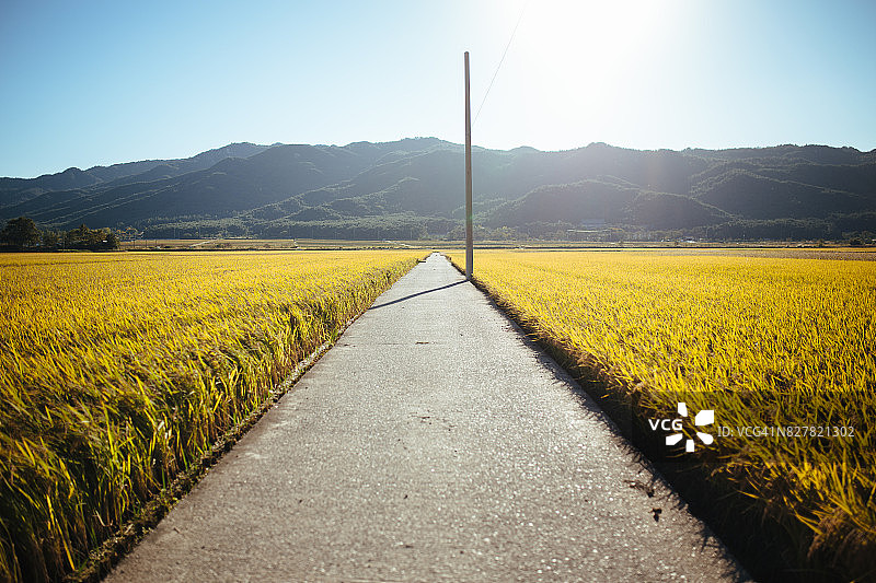 秋季韩国乡村景色图片素材