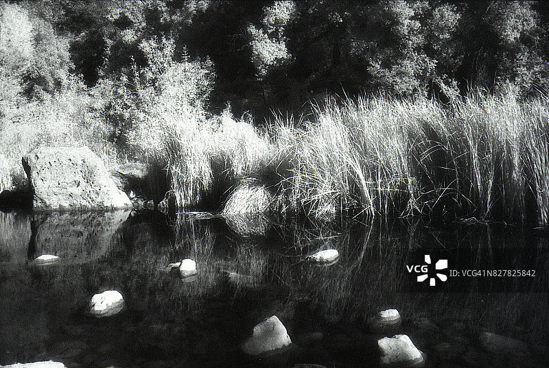 马里布溪-红外胶片图片素材