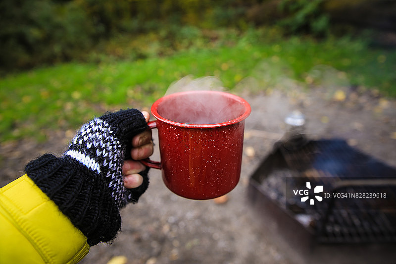 绿色植物图片素材